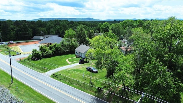 bird's eye view of a forest