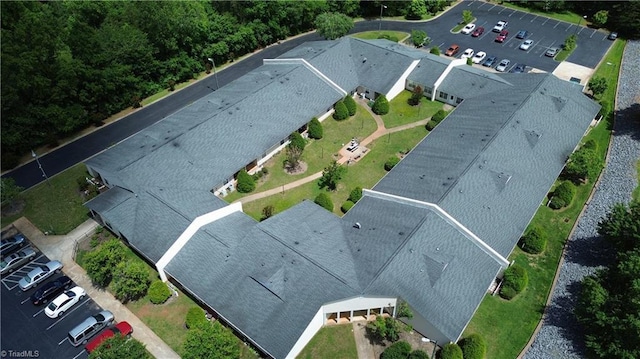 aerial view