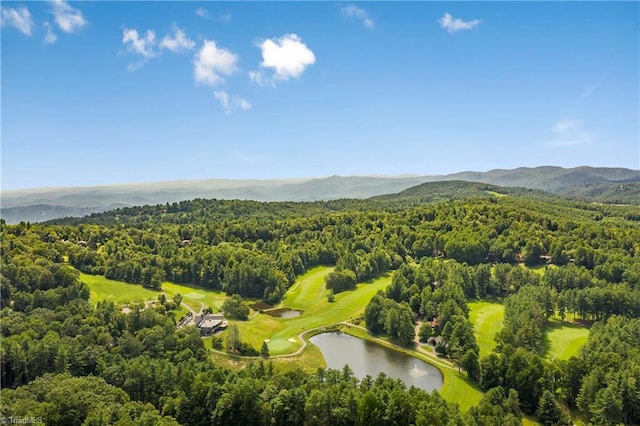 birds eye view of property with a water and mountain view