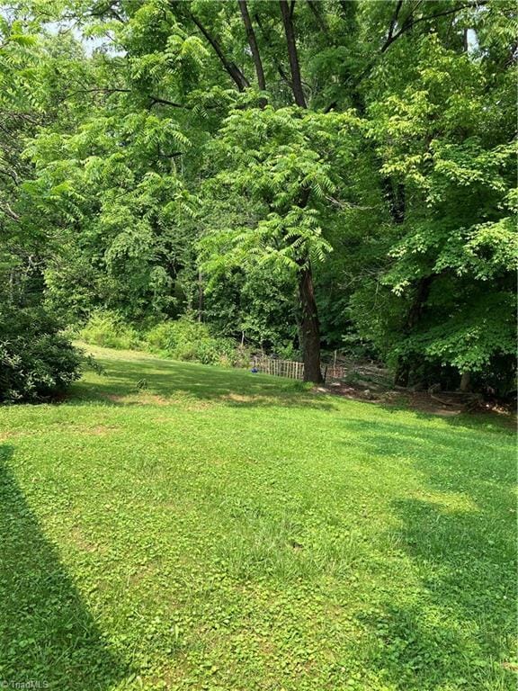 2096 Fancy Gap Rd, Mount Airy, NC 27030 - view of green lawn with a wooded view