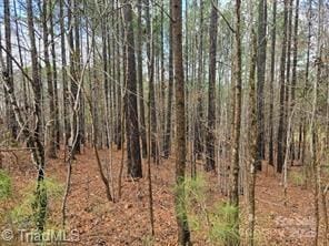 225 Cove Wood Dr, Denton NC, 27239 land for sale