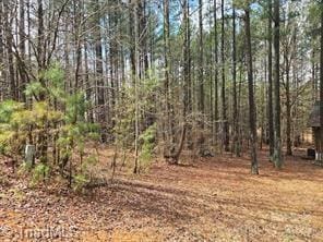 Listing photo 3 for 225 Cove Wood Dr, Denton NC 27239