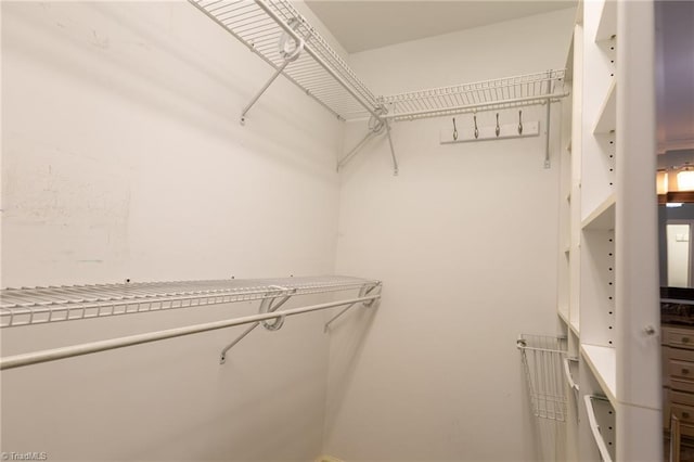 view of walk in closet