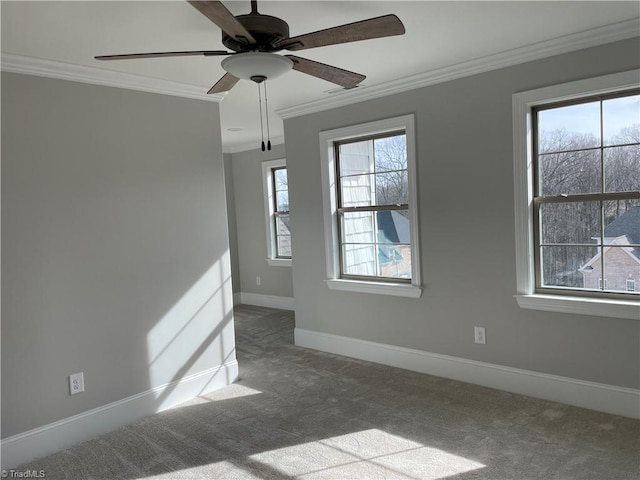 spare room with plenty of natural light, carpet, baseboards, and crown molding