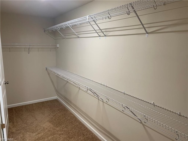 2015 Ram Rd, Greensboro, NC 27405 - walk in closet featuring carpet floors