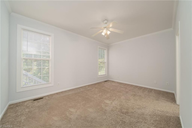 carpeted spare room featuring ceiling fan, a wealth of natural light, and ornamental molding