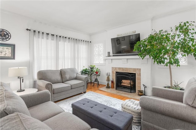 living room featuring a fireplace, wood finished floors, and crown molding