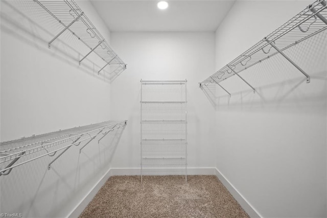 spacious closet with carpet flooring