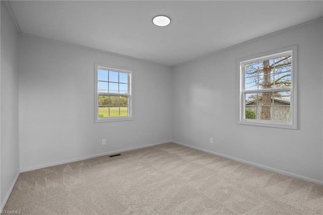 carpeted empty room with crown molding and plenty of natural light