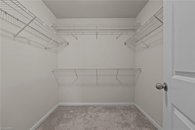 spacious closet featuring light carpet