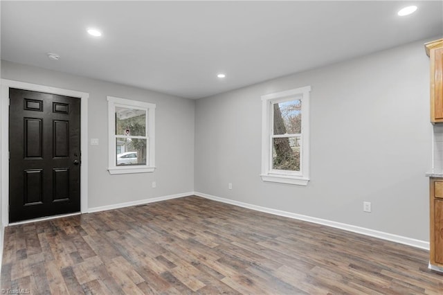 entryway featuring dark hardwood / wood-style flooring and a wealth of natural light