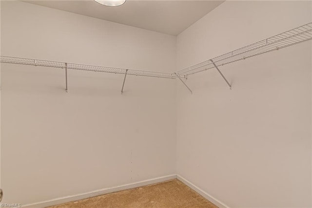 spacious closet with carpet floors