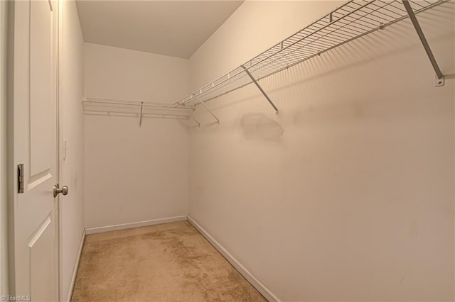 spacious closet with light colored carpet