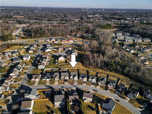 bird's eye view