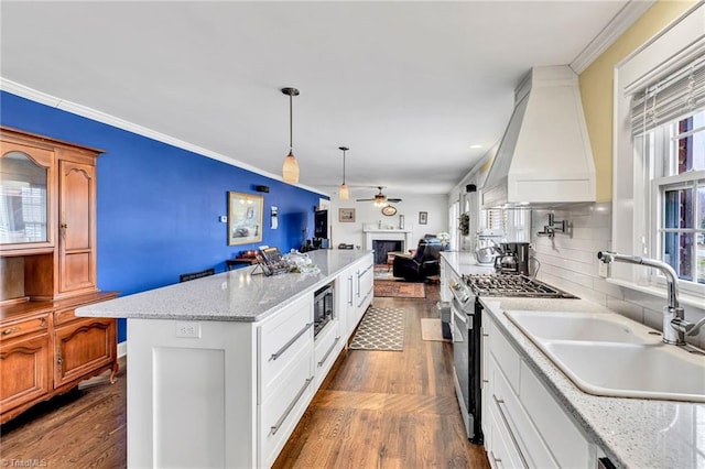 kitchen with stainless steel appliances, sink, custom range hood, and white cabinets