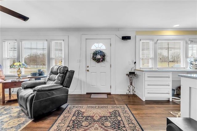 foyer featuring dark wood-type flooring, ornamental molding, and a healthy amount of sunlight