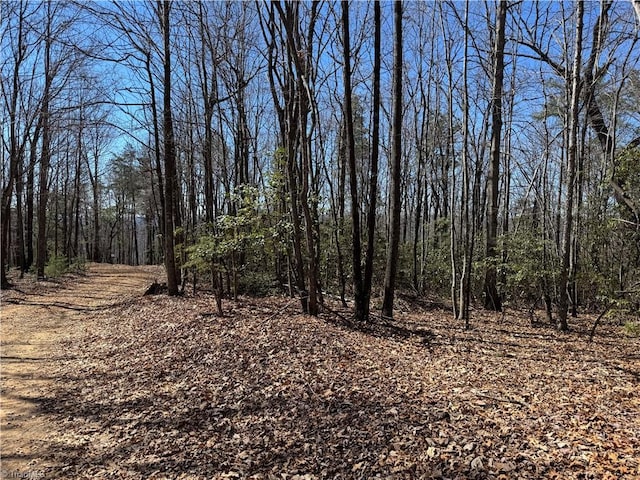 LOT10 Overland Trl, Hays NC, 28635 land for sale