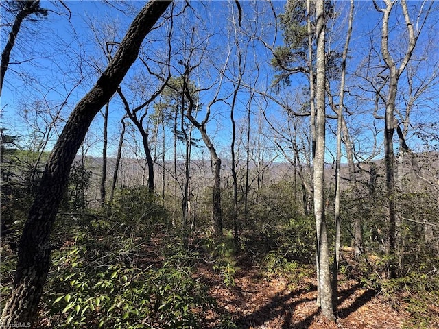 Listing photo 2 for LOT10 Overland Trl, Hays NC 28635