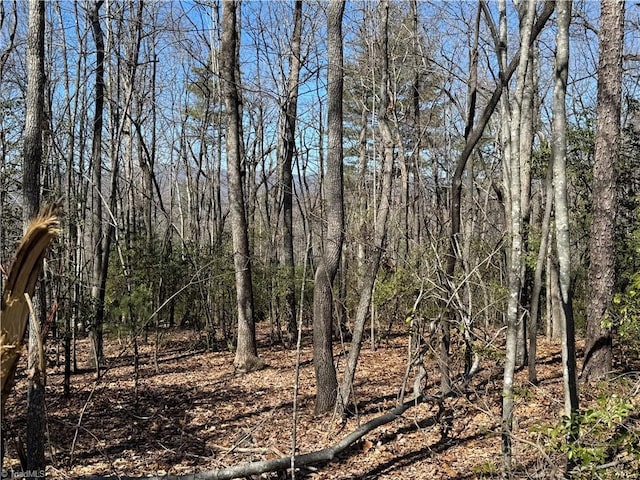 Listing photo 3 for LOT10 Overland Trl, Hays NC 28635