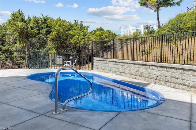 view of pool with a patio area