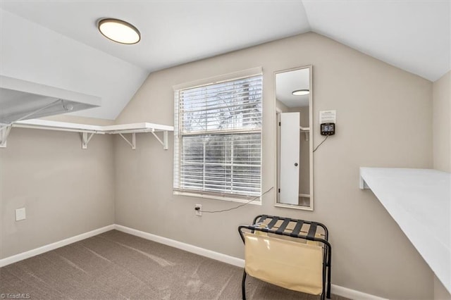 spacious closet with vaulted ceiling and carpet flooring