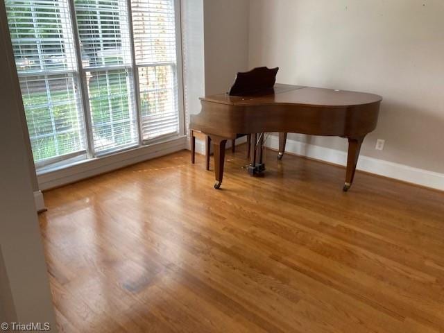 miscellaneous room with wood-type flooring