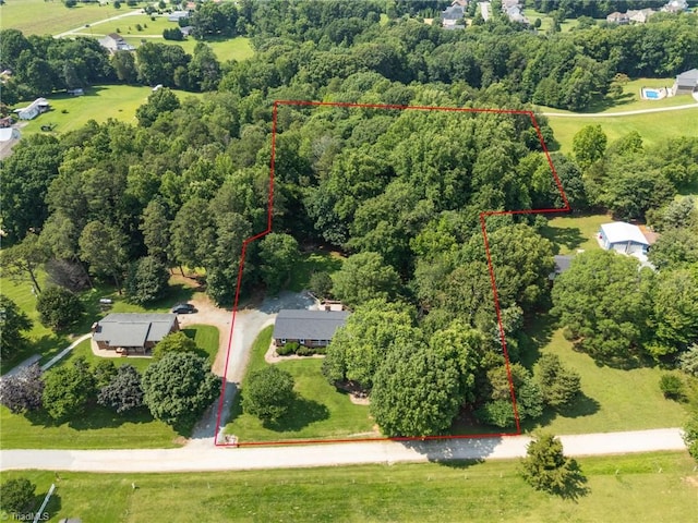 8194 Brotherstwo Rd, Colfax, NC 27235 - view of property location featuring property boundaries highlighted and a forest