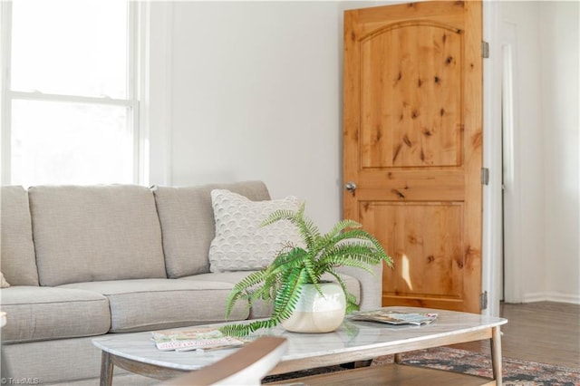 living room with wood-type flooring