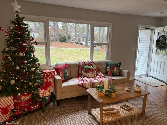 living room featuring wood-type flooring