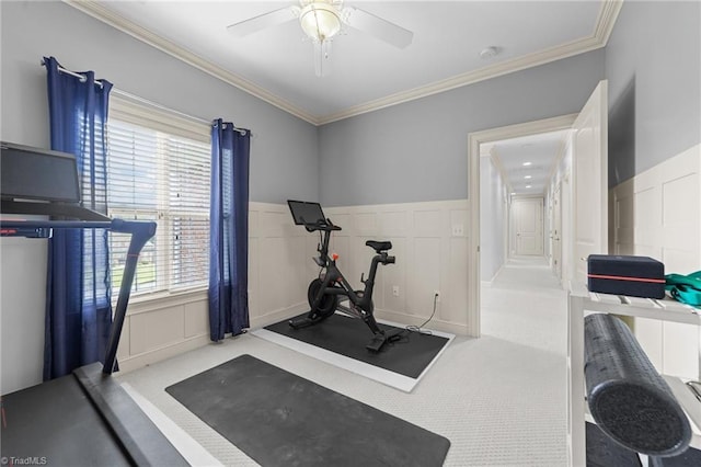 workout area with carpet floors, ceiling fan, ornamental molding, and a decorative wall