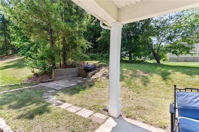 3602 Turquoise Dr, Durham, NC 27703 - view of green lawn