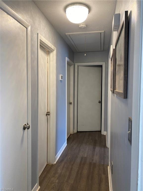 corridor featuring dark hardwood / wood-style flooring