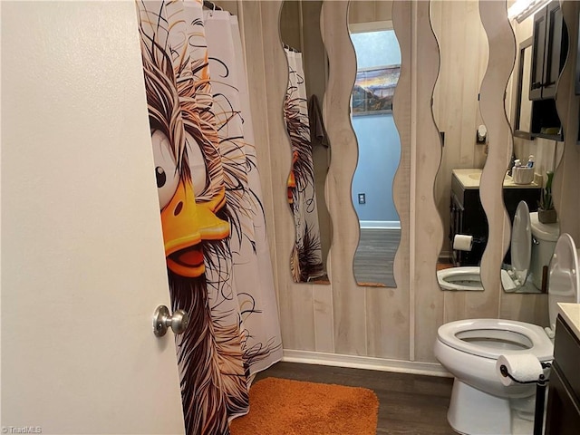 bathroom featuring vanity, toilet, and wood-type flooring