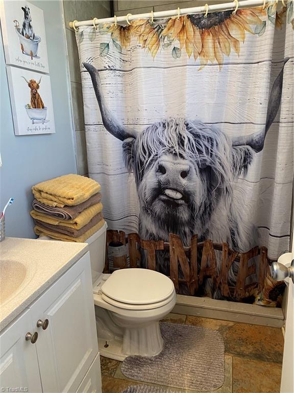 bathroom with vanity, a shower with shower curtain, and toilet