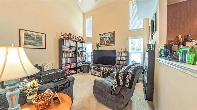 104 Tilleys Grove Dr, Kernersville, NC 27284 - living room with high vaulted ceiling and carpet