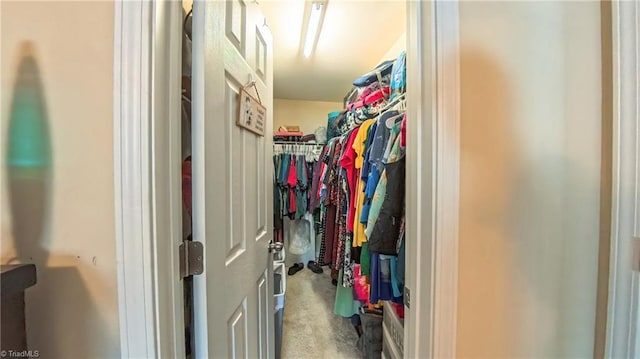 104 Tilleys Grove Dr, Kernersville, NC 27284 - spacious closet featuring carpet flooring