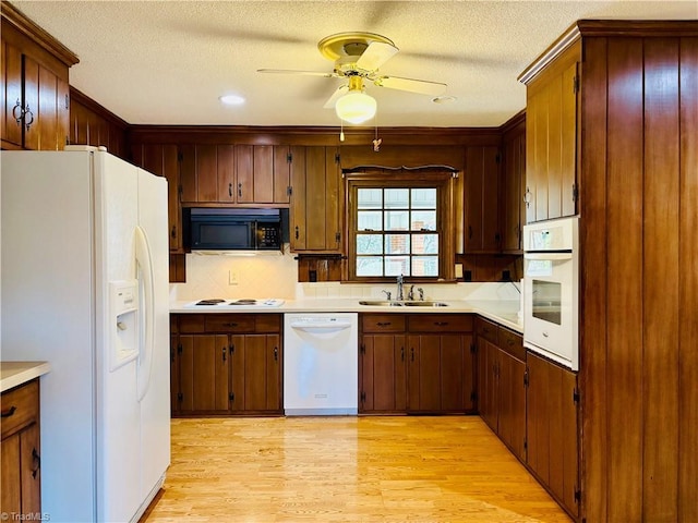 kitchen featuring light countertops, a ceiling fan, a sink, light wood-type flooring, and white appliances