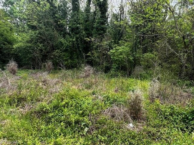 LOT1 S 12th Ave, Mayodan NC, 27027 land for sale