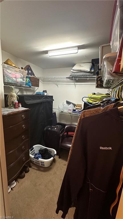 walk in closet featuring carpet flooring