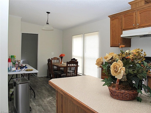 kitchen with hanging light fixtures and dark hardwood / wood-style flooring