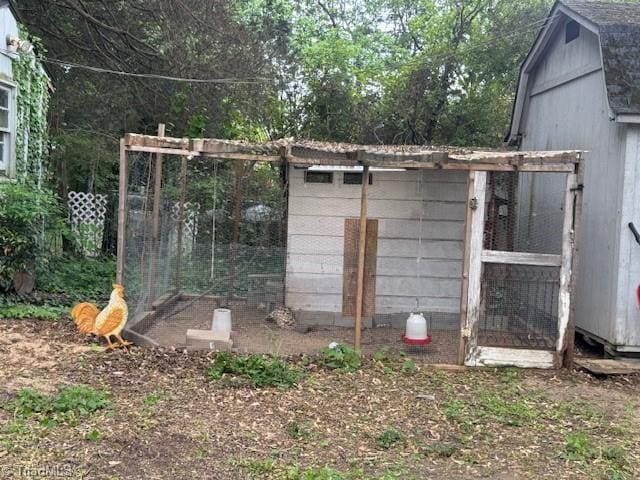 view of poultry coop