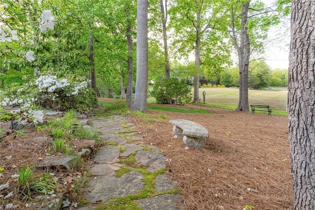 5001 Edinborough Rd, Greensboro, NC 27406 - view of yard