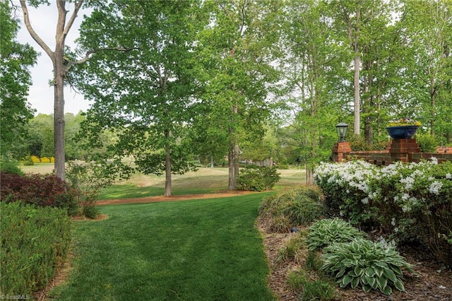 5001 Edinborough Rd, Greensboro, NC 27406 - view of yard