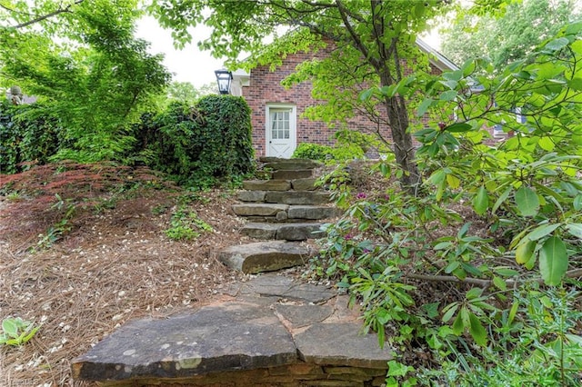 5001 Edinborough Rd, Greensboro, NC 27406 - view of yard
