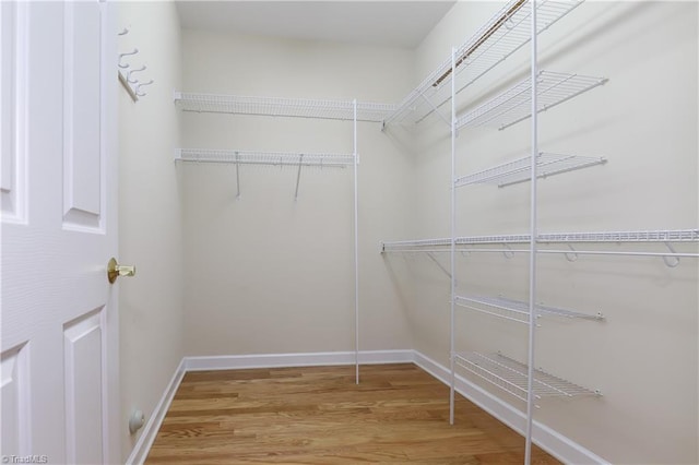 walk in closet with wood finished floors