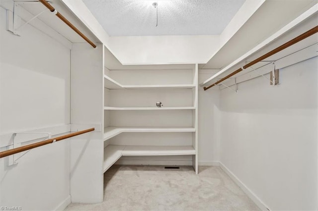 spacious closet with light carpet