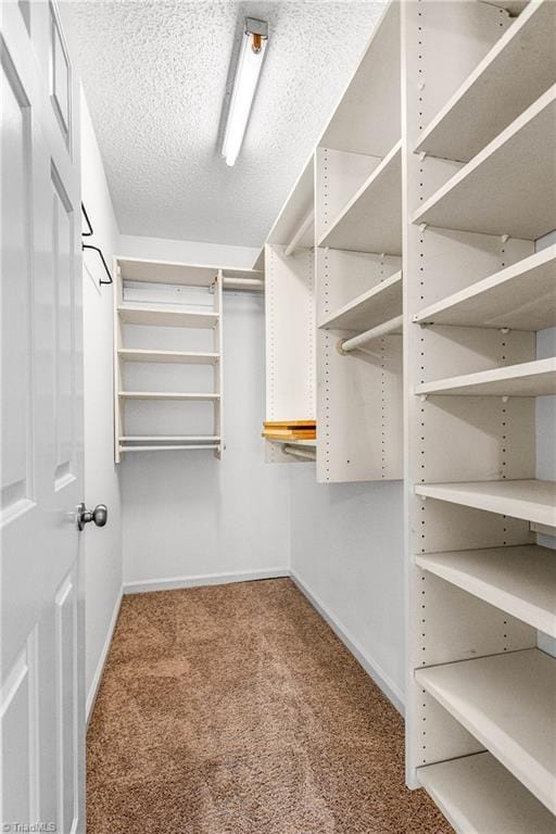 1556 Jubilee Trl, Kernersville, NC 27284 - walk in closet with carpet floors
