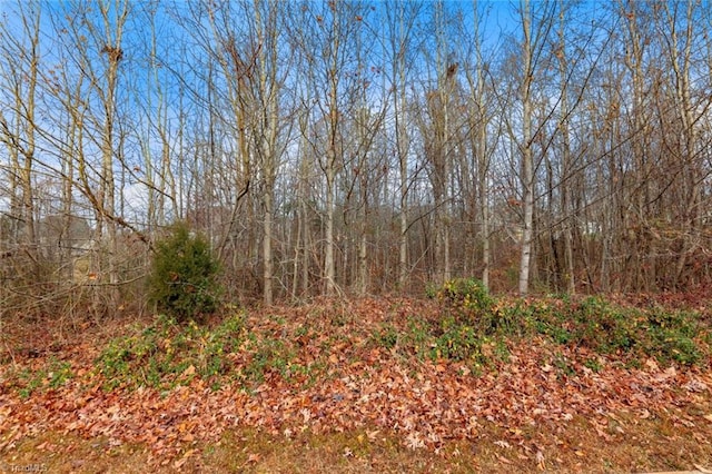 3525 Doral Ct, Tobaccoville NC, 27050 land for sale