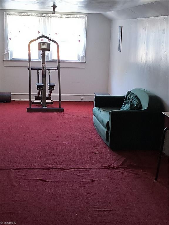 exercise area featuring carpet floors and a wealth of natural light