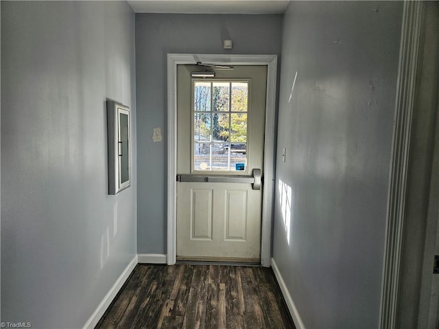 entryway featuring dark wood-type flooring